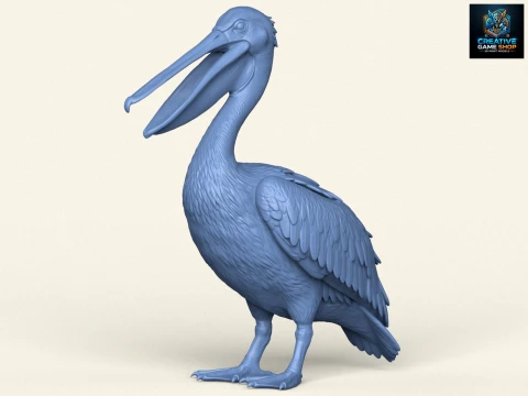 p&aacute;jaro pel&iacute;cano Modelo de impresión 3D
