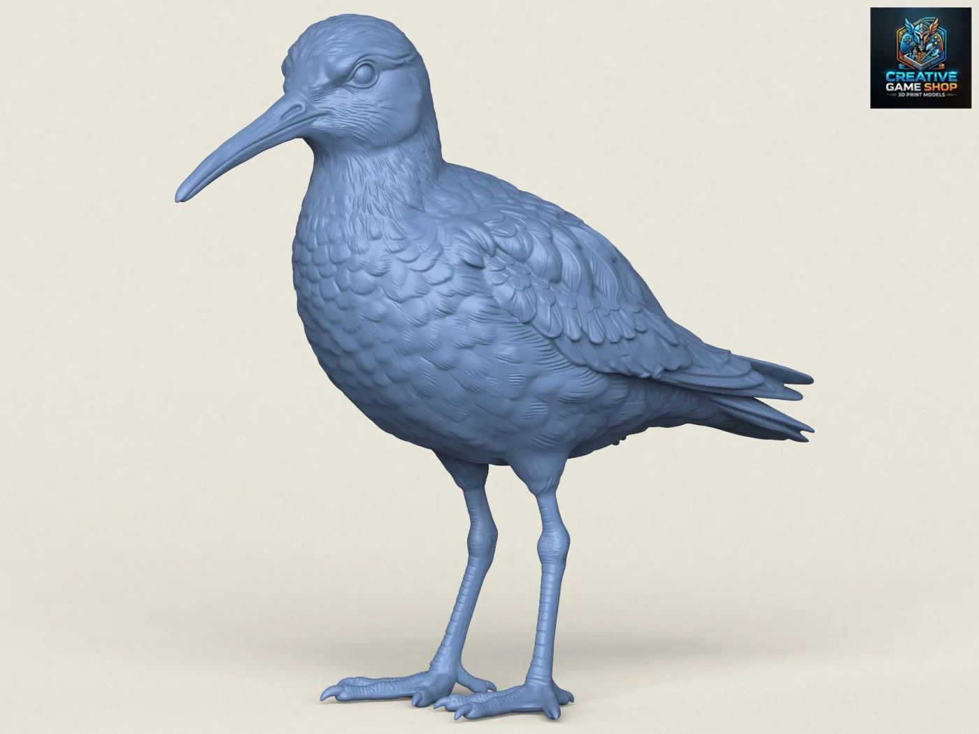Sandpiper Bird 3D Print Model .c4d .max .obj .3ds .fbx .stl .blend 