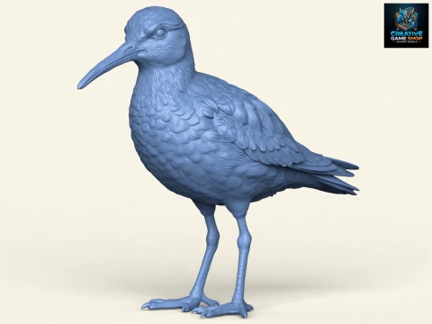 p&aacute;jaro playero Modelo de impresión 3D