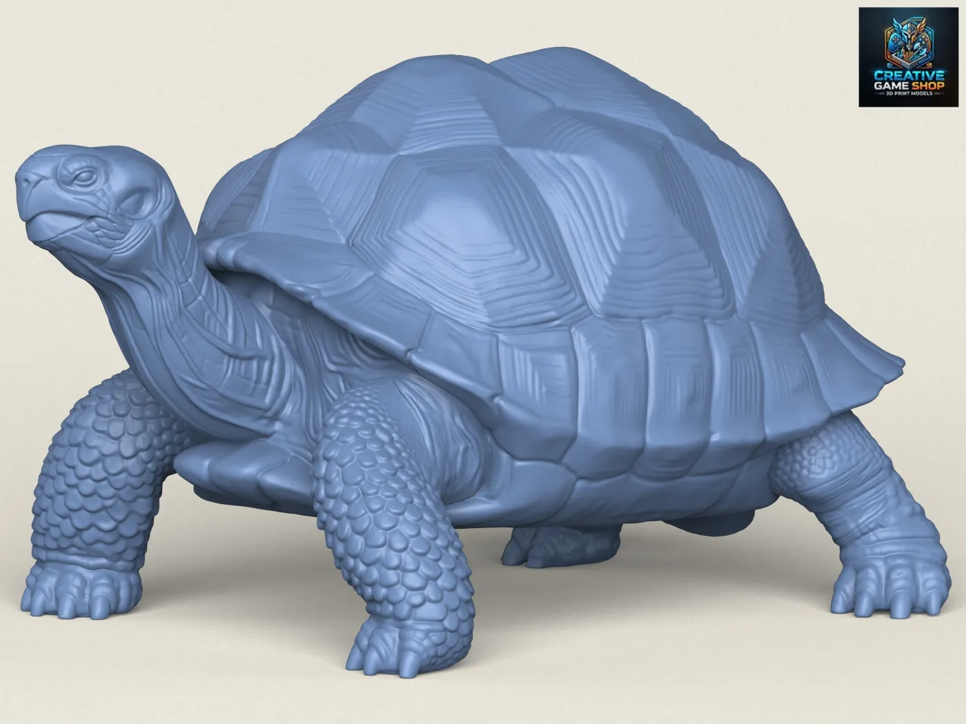 tortuga salvaje Modelo de impresión 3D .c4d .max .obj .3ds .fbx .stl .blend 