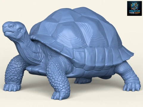 Kura-kura Liar Model Cetak 3D