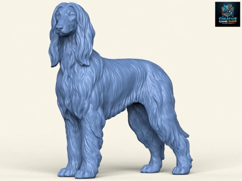 Afghaanse windhond 3D printmodel