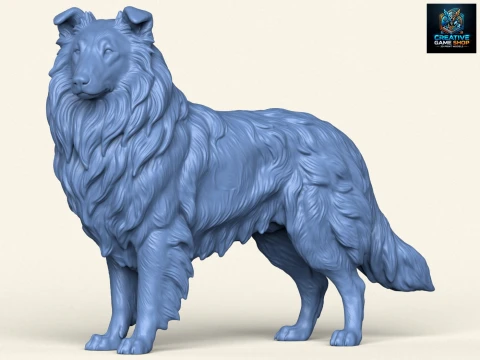 Rough Collie Dog 3D Print Model