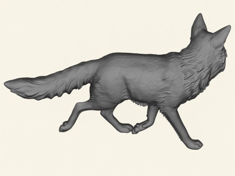 Wild Fox Walking 3D Print Model