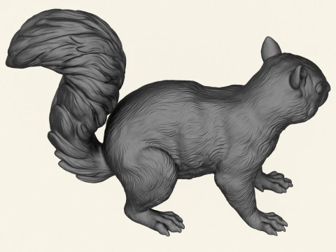 Squirrel 3D Print Model