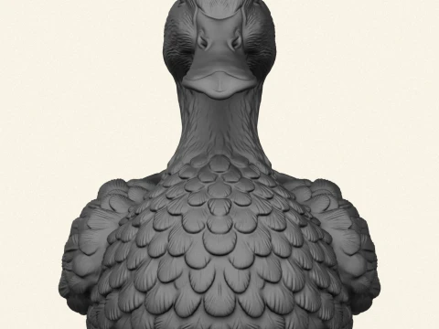 Duck Soap Holder 3D Print Model