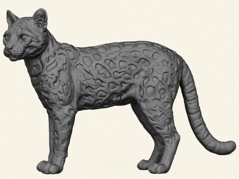 Wild Cat 3D Print Model