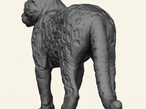 Wild Cat 3D Print Model