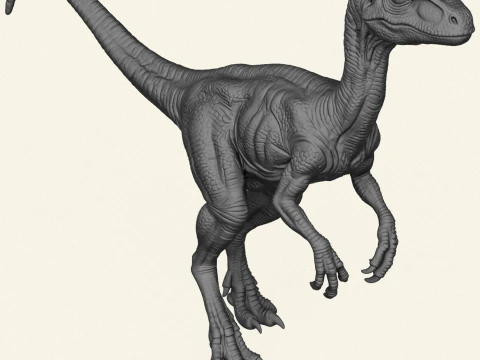 Wild Velociraptor Dinosaur 3D Print Model