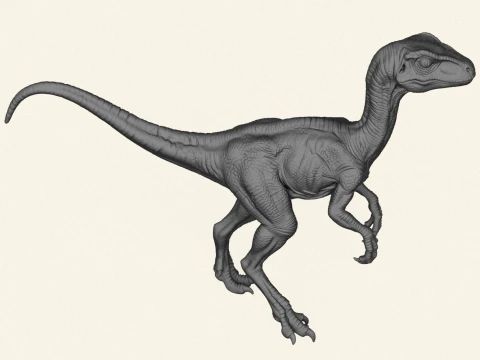 Wild Velociraptor Dinosaur 3D Print Model