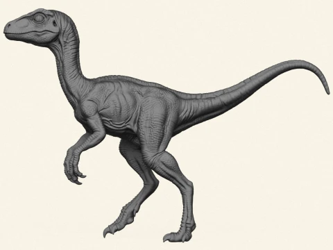 Wild Velociraptor Dinosaur 3D Print Model