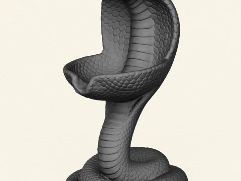 Cobra Snake Soap Holder 3D Print Model
