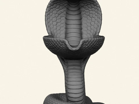 Cobra Snake Soap Holder 3D Print Model