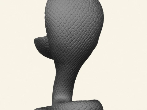 Cobra Snake Soap Holder 3D Print Model