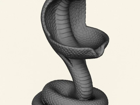 Cobra Snake Soap Holder 3D Print Model