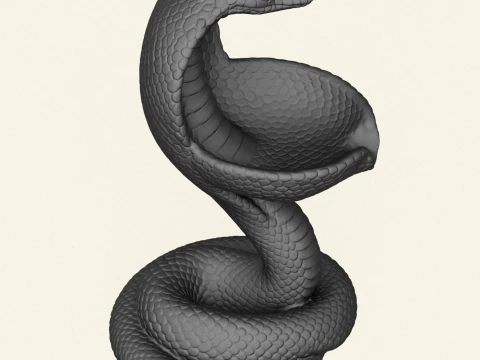 Cobra Snake Soap Holder 3D Print Model