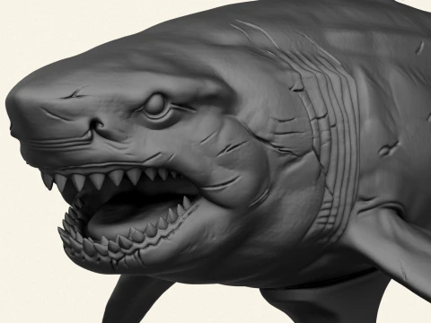 Megalodon Shark Fish 3D Print Model