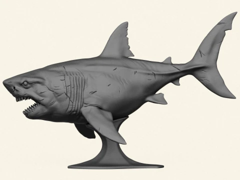Megalodon Shark Fish 3D Print Model