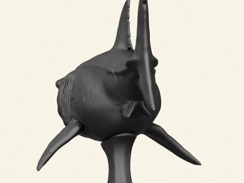 Megalodon Shark Fish 3D Print Model