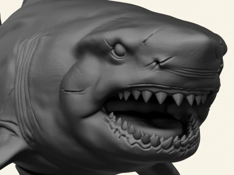 Megalodon Shark Fish 3D Print Model