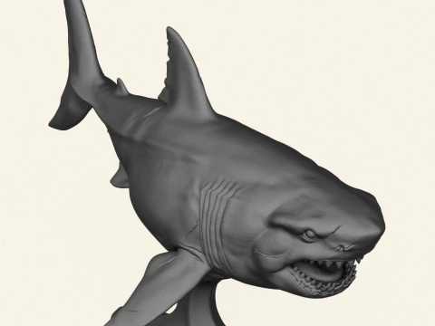 Megalodon Shark Fish 3D Print Model