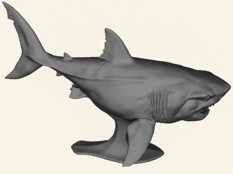 Megalodon Shark Fish 3D Print Model