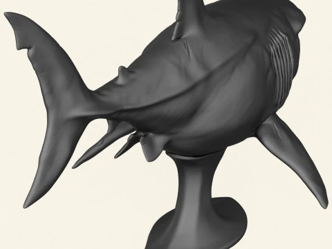 Megalodon Shark Fish 3D Print Model