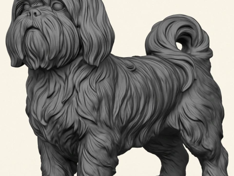 Shih Tzu Dog 3D Print Model
