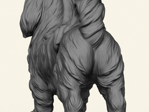 Shih Tzu Dog 3D Print Model