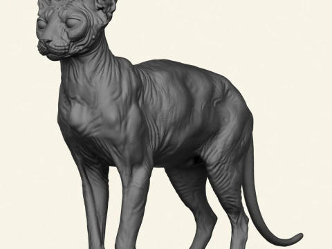 Sphynx Cat 3D Print Model