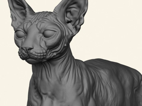 Sphynx Cat 3D Print Model