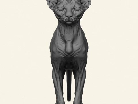 Sphynx Cat 3D Print Model