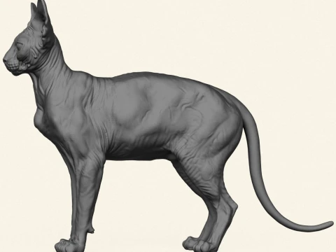 Sphynx Cat 3D Print Model