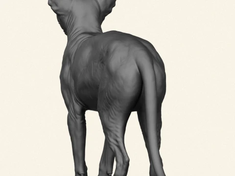 Sphynx Cat 3D Print Model