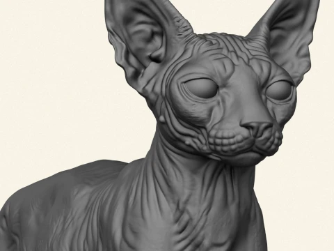 Sphynx Cat 3D Print Model
