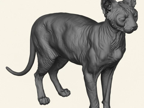 Sphynx Cat 3D Print Model
