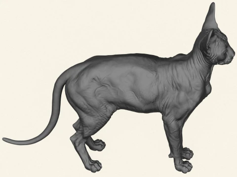 Sphynx Cat 3D Print Model