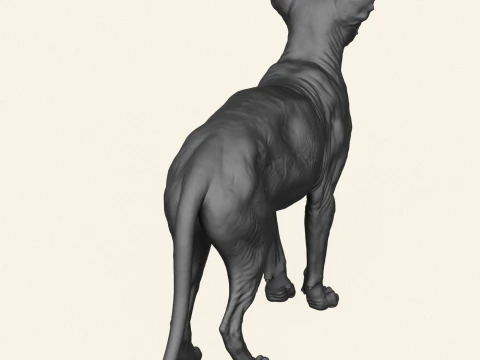Sphynx Cat 3D Print Model