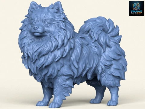 Pommerscher Hund 3D Druckmodell