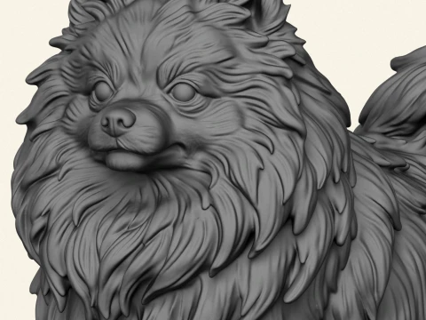 Pomeranian Dog 3D Print Model