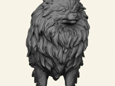 Pomeranian Dog 3D Print Model
