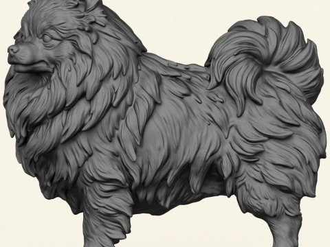 Pomeranian Dog 3D Print Model