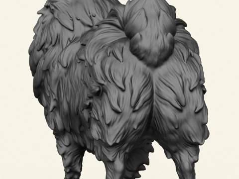 Pomeranian Dog 3D Print Model