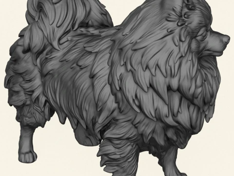 Pomeranian Dog 3D Print Model