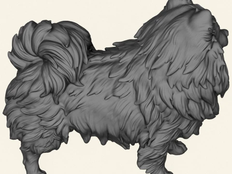 Pomeranian Dog 3D Print Model