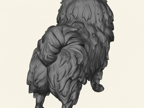 Pomeranian Dog 3D Print Model