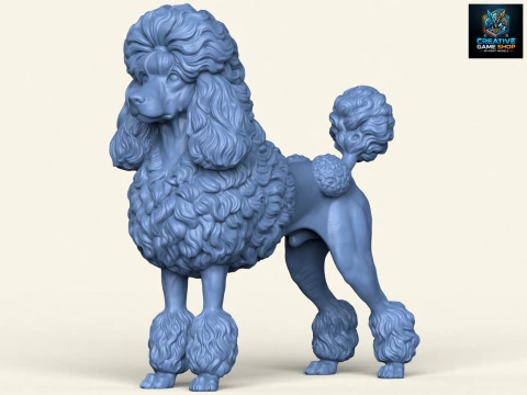 Pudelhund 3D Druckmodell