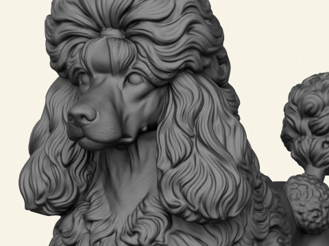 Poodle Dog 3D Print Model