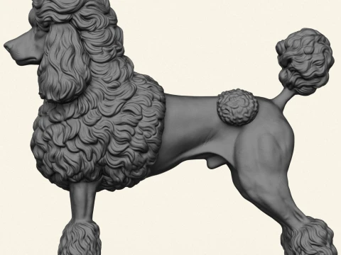 Poodle Dog 3D Print Model