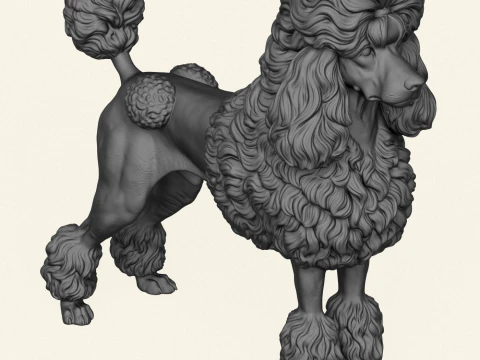 Poodle Dog 3D Print Model